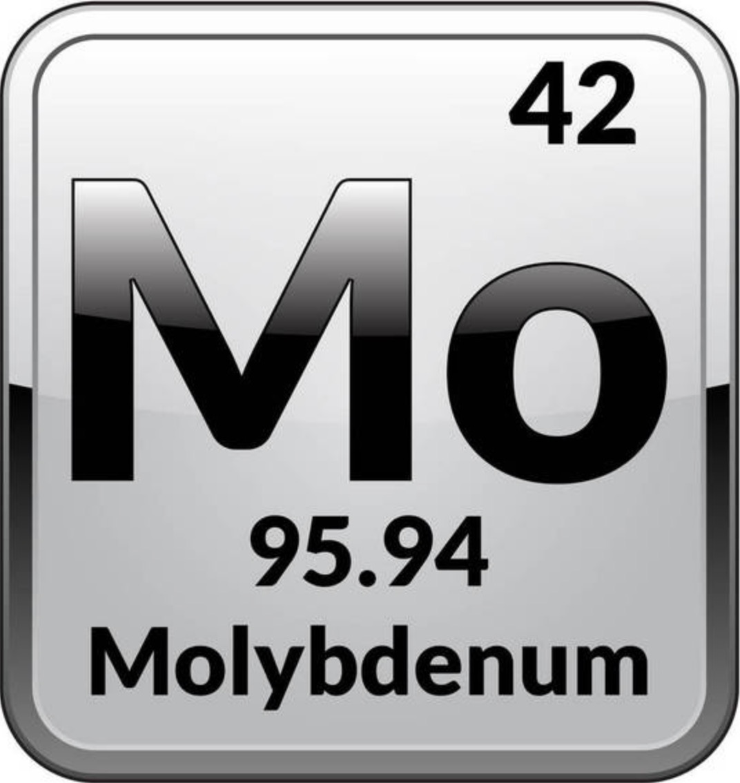 Molybdenum powder